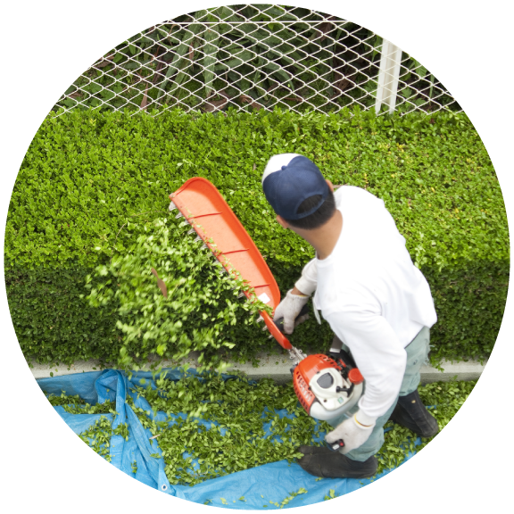 剪定職人パートナー募集