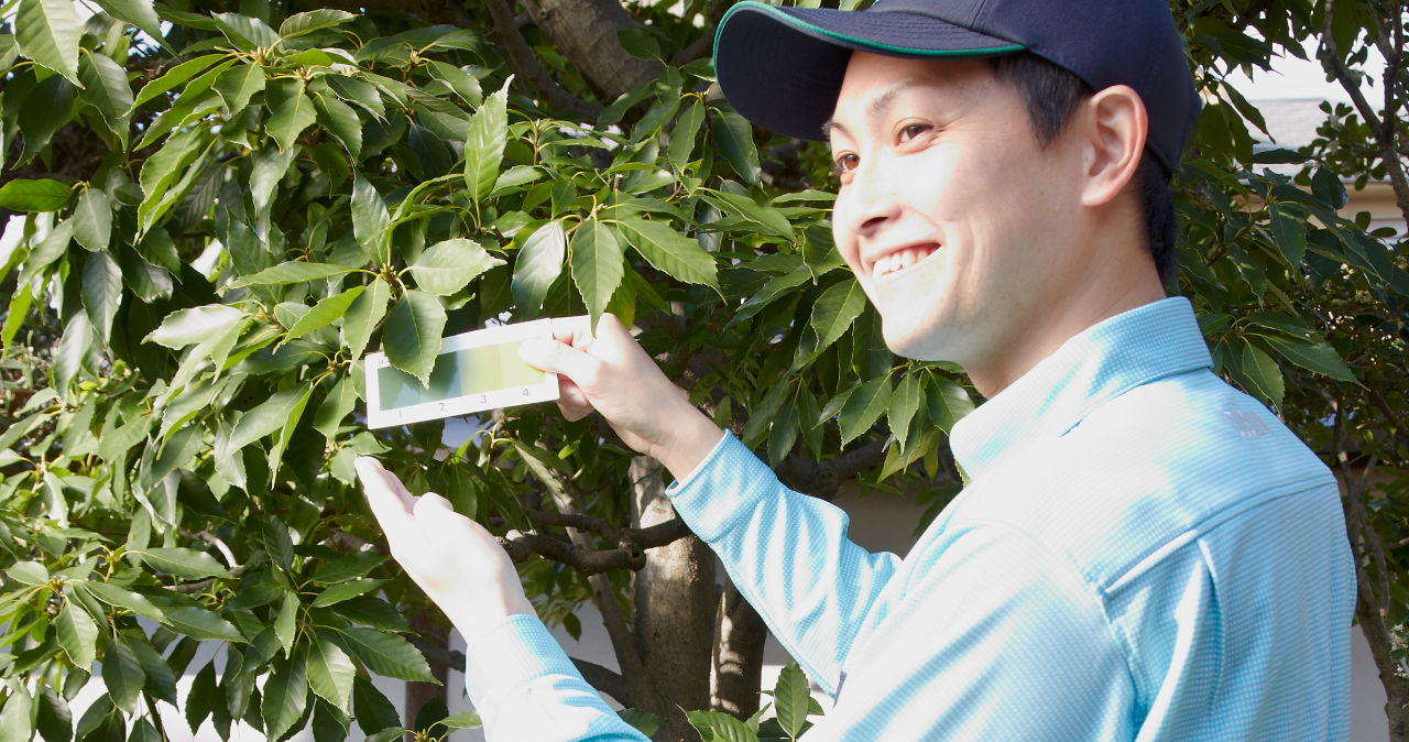 樹木の年間お手入れサービス